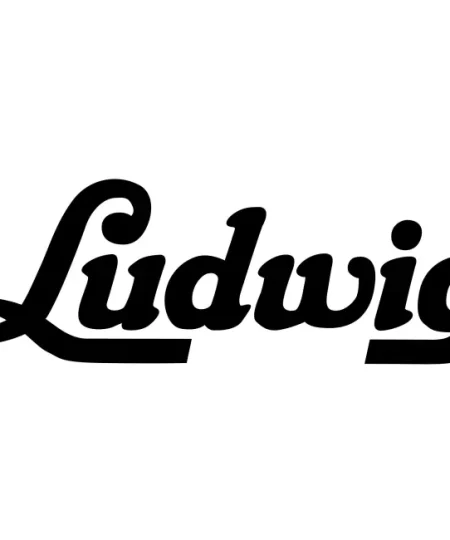 Alternative view of Ludwig Parts P-85 Snare Drum Strainer Throw-Off