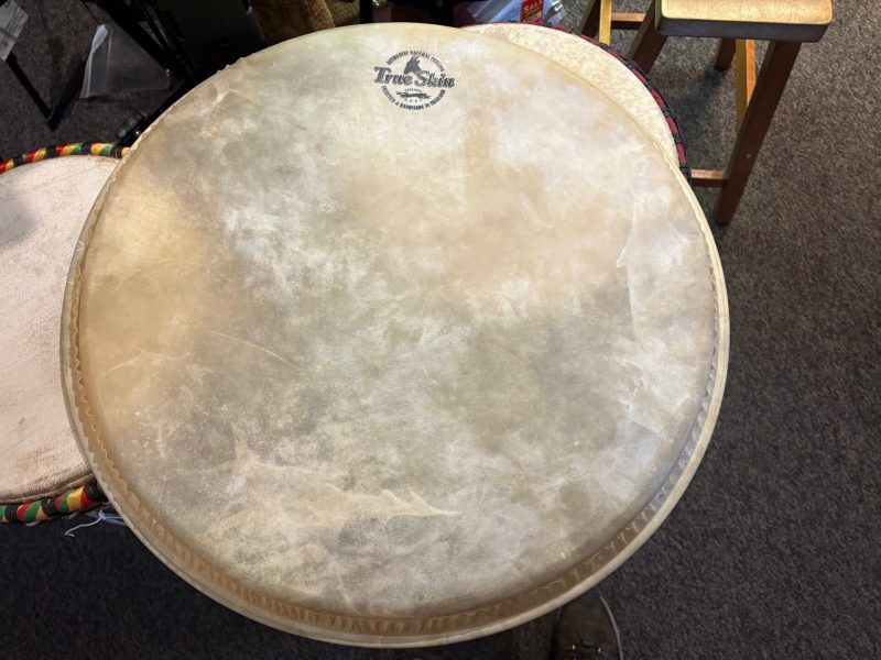 Meinl Percussion 21 in. Mother Djembe Goatskin Head