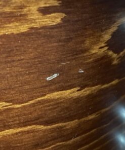 Tama Used SLP Fat Spruce 3pc Kit Wild Satin Spruce Small Ding Close Up